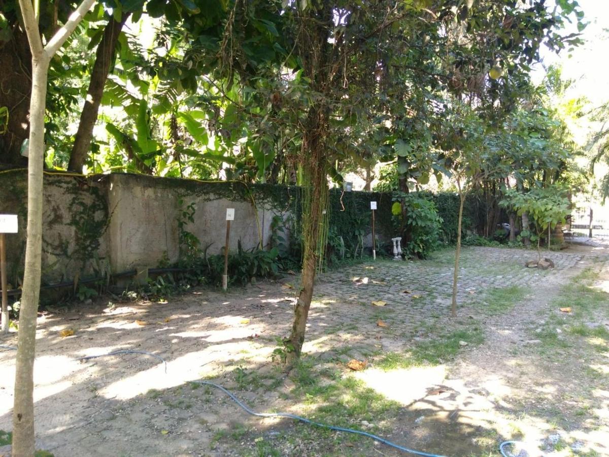 Rio Natureza Apart 111 Rio de Janeiro Ngoại thất bức ảnh